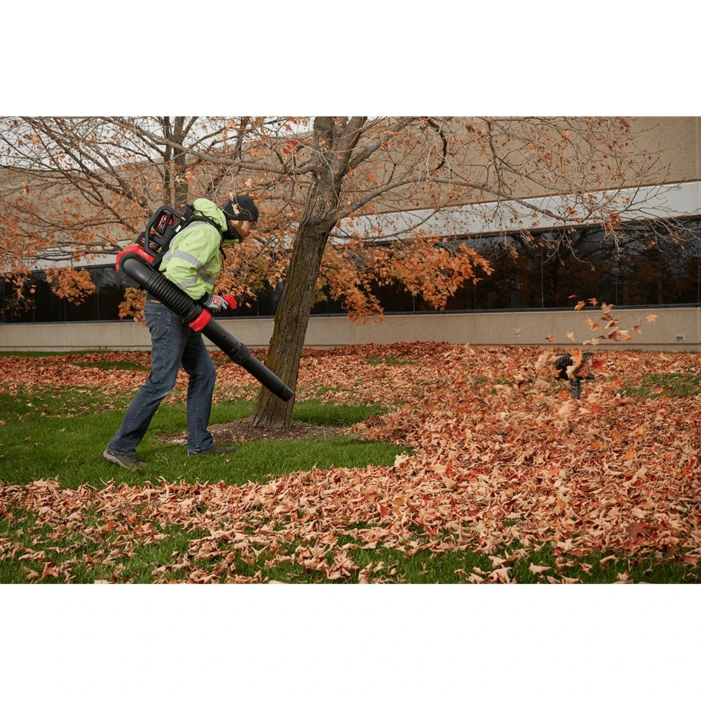 Fall leaf cleanup and lawn care