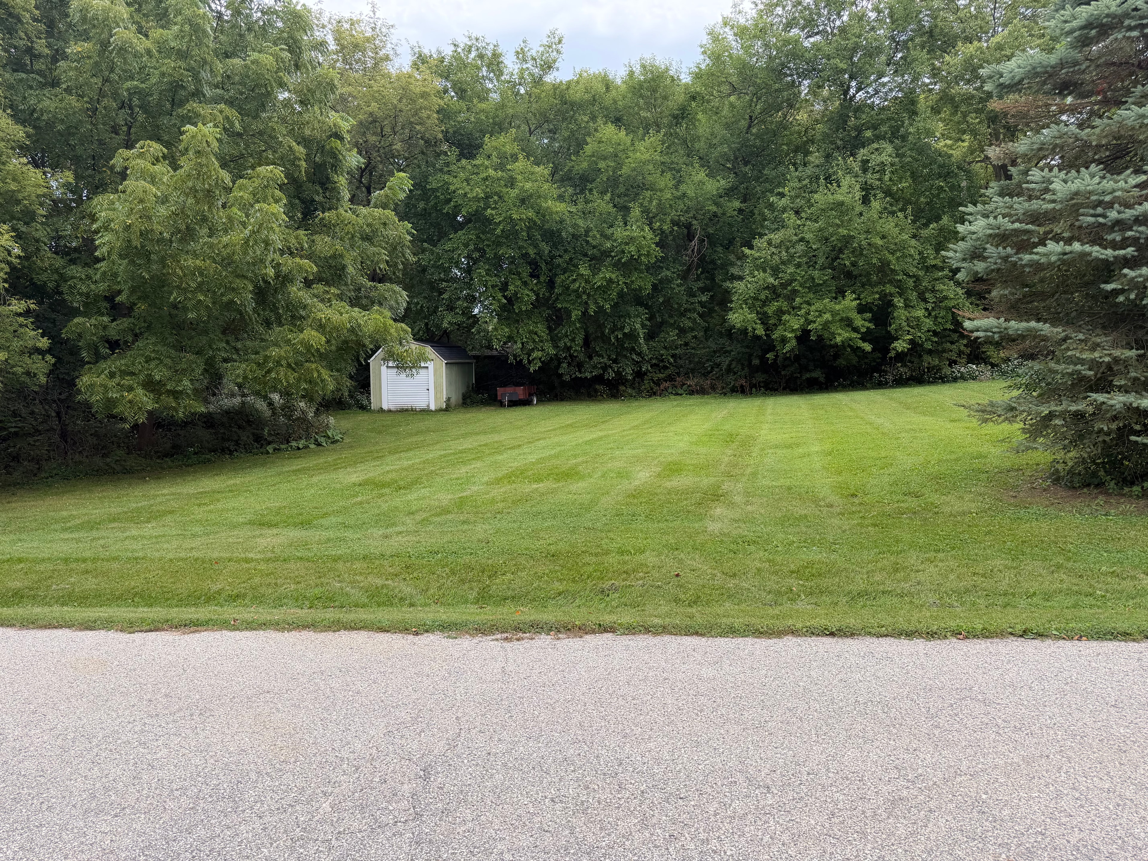 Professional lawn care service