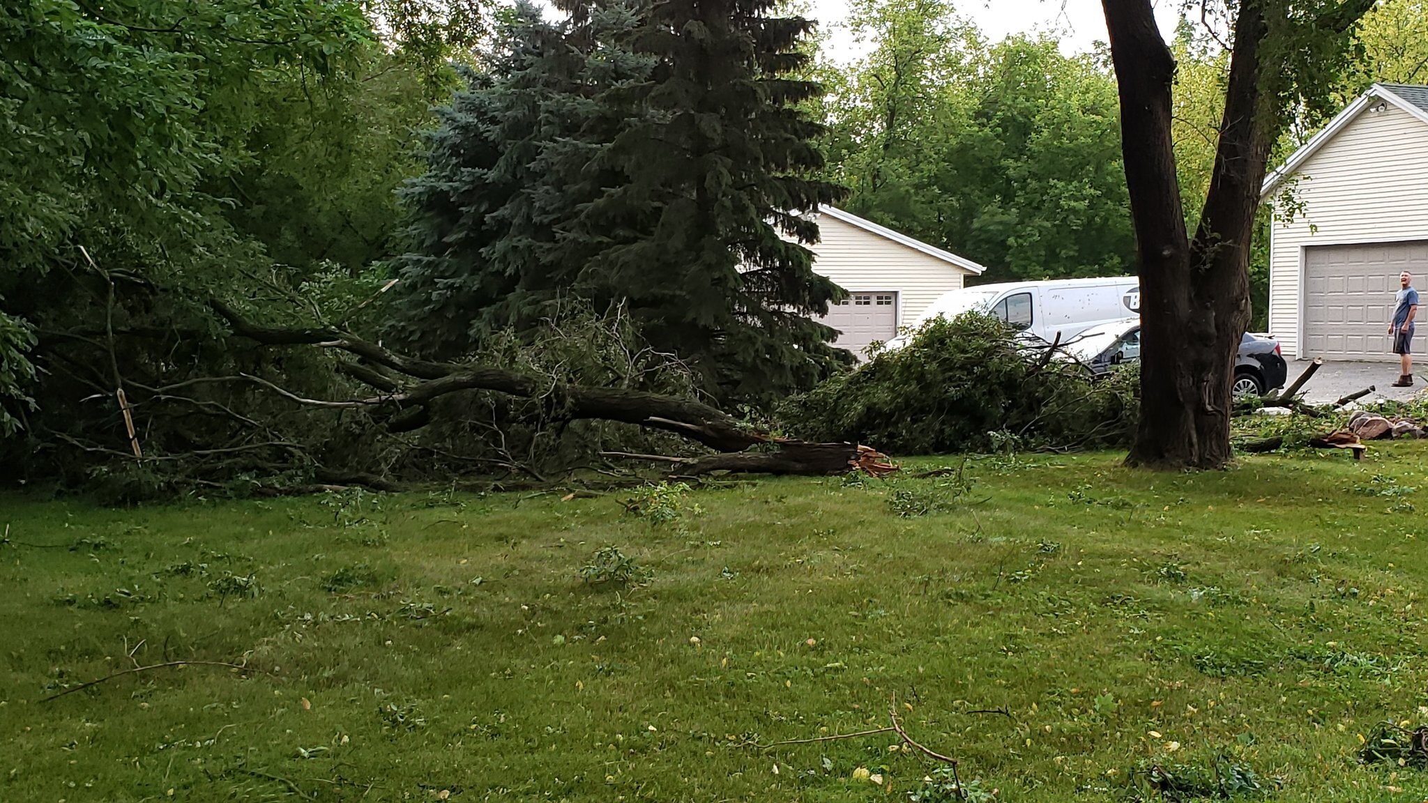 Spring property cleanup and garden bed preparation